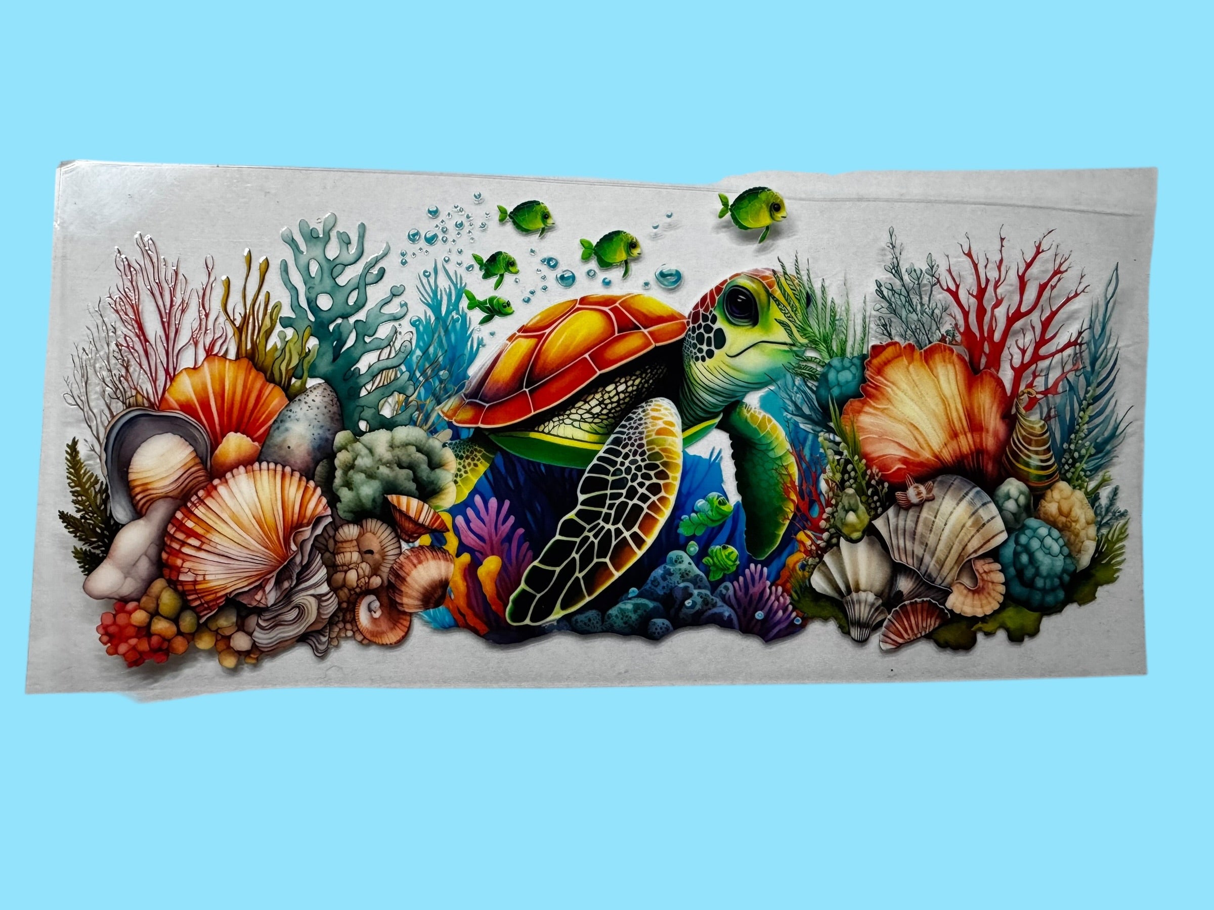 Turtle 2