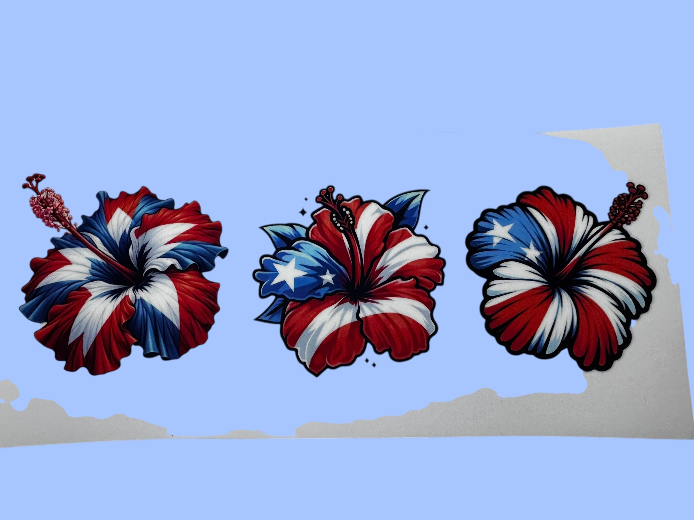 Amapola 2