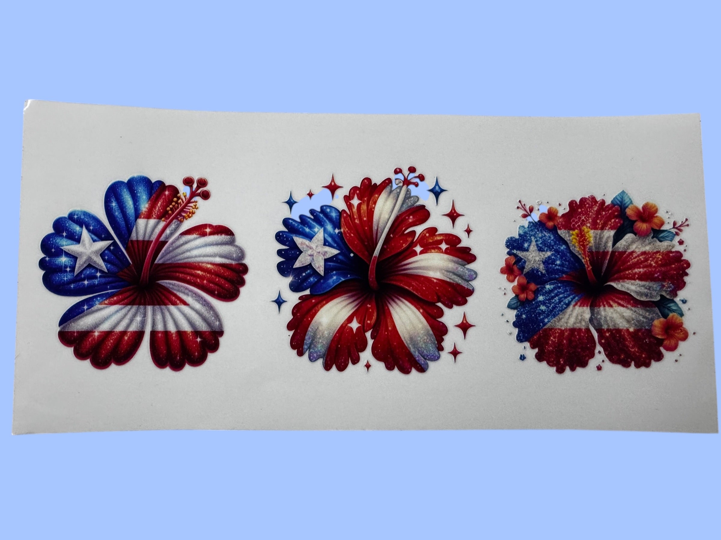 Amapola 4