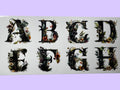 Black Flower initial 1