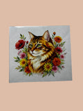 Cat 2