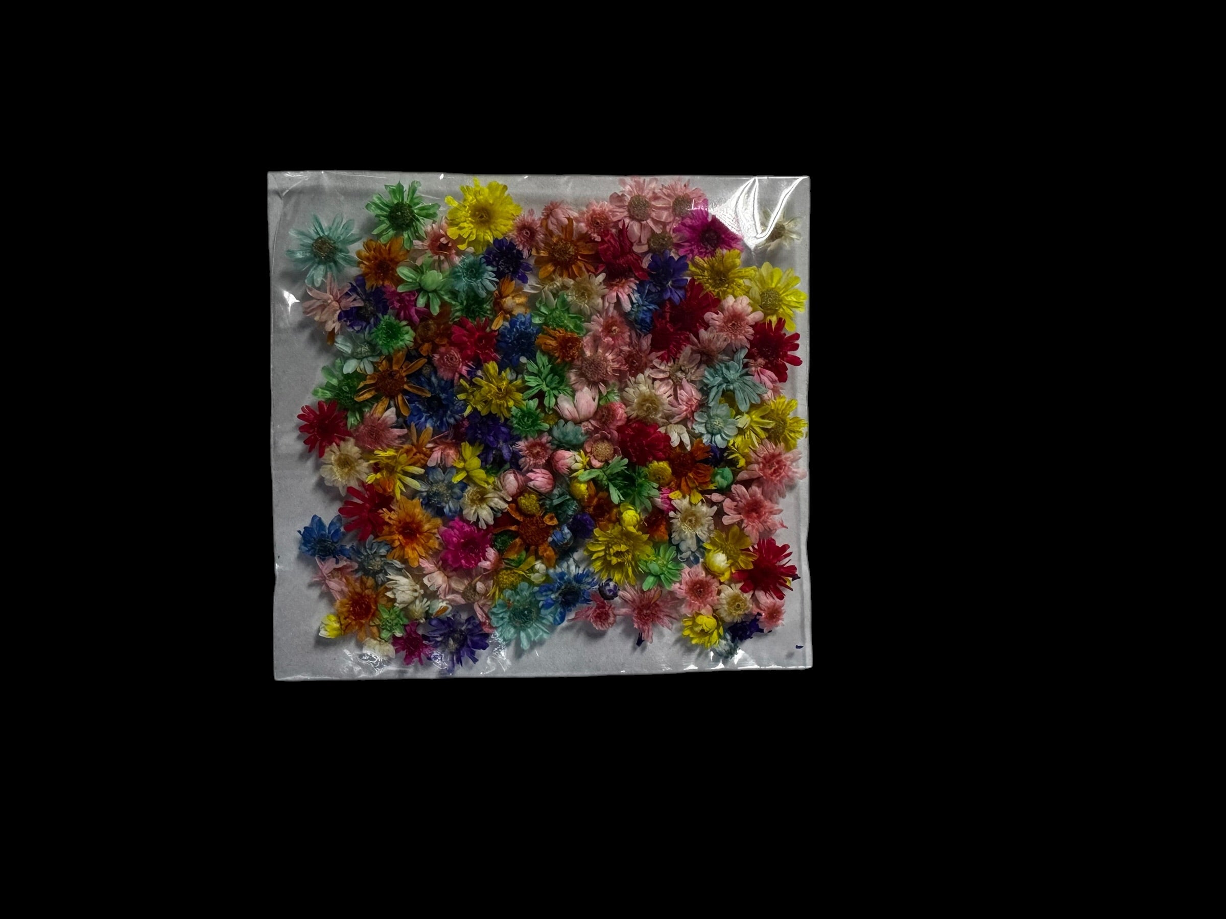 Dry Flowers