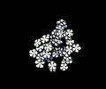 Daisy's