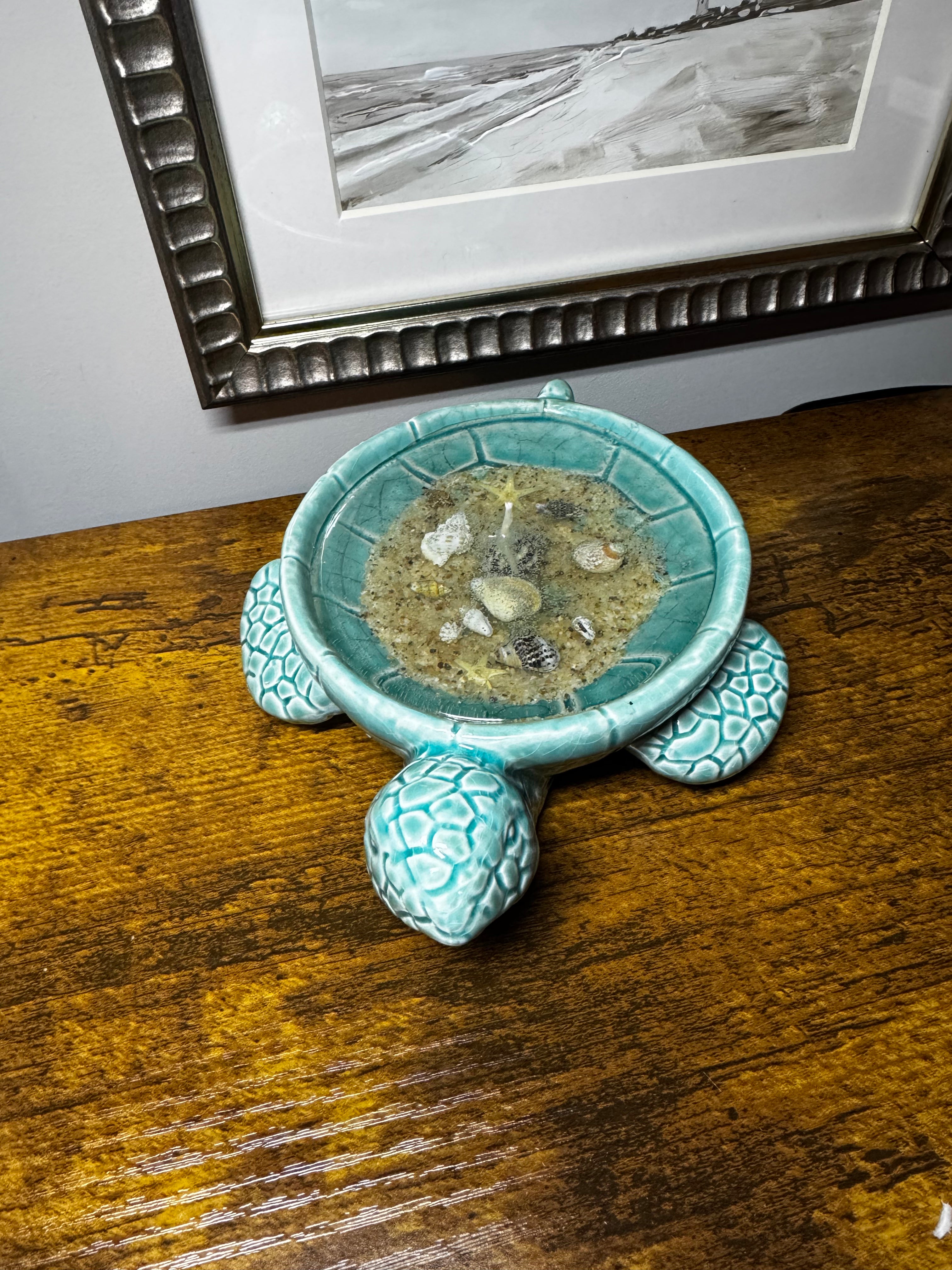 Sea Turtle