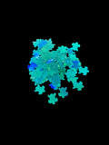 Teal Turtles