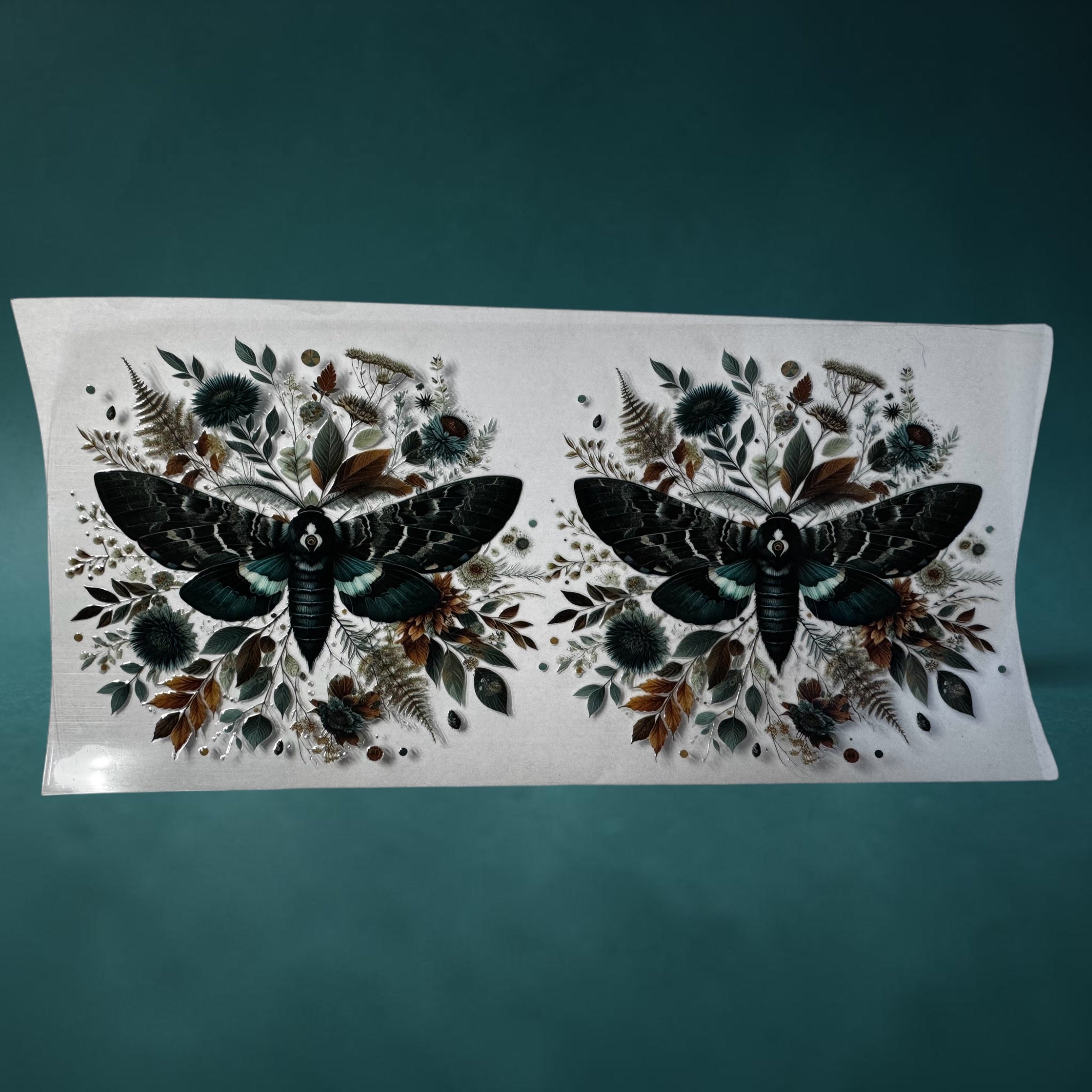 Moth