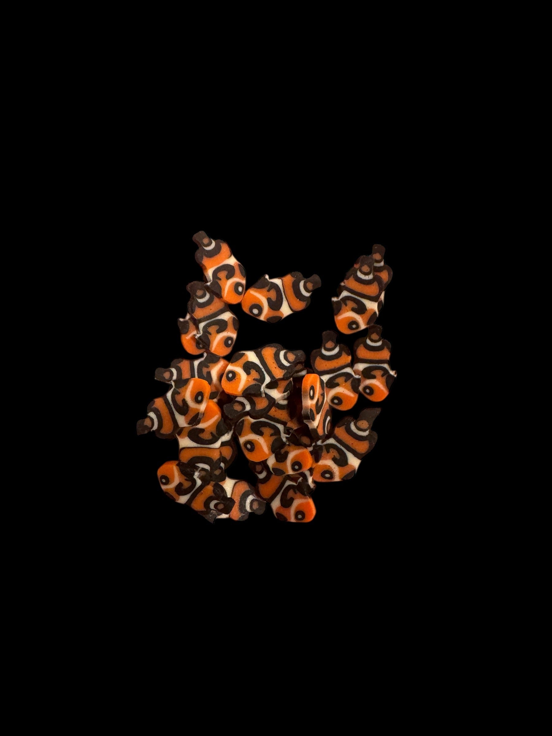 Clown Fish
