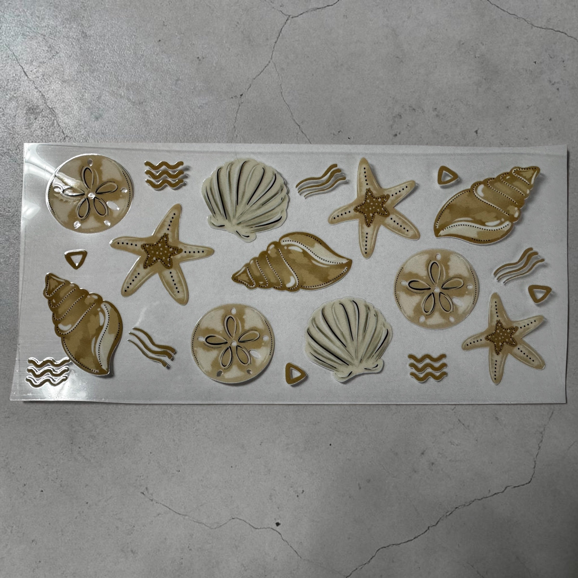 Shells and stars