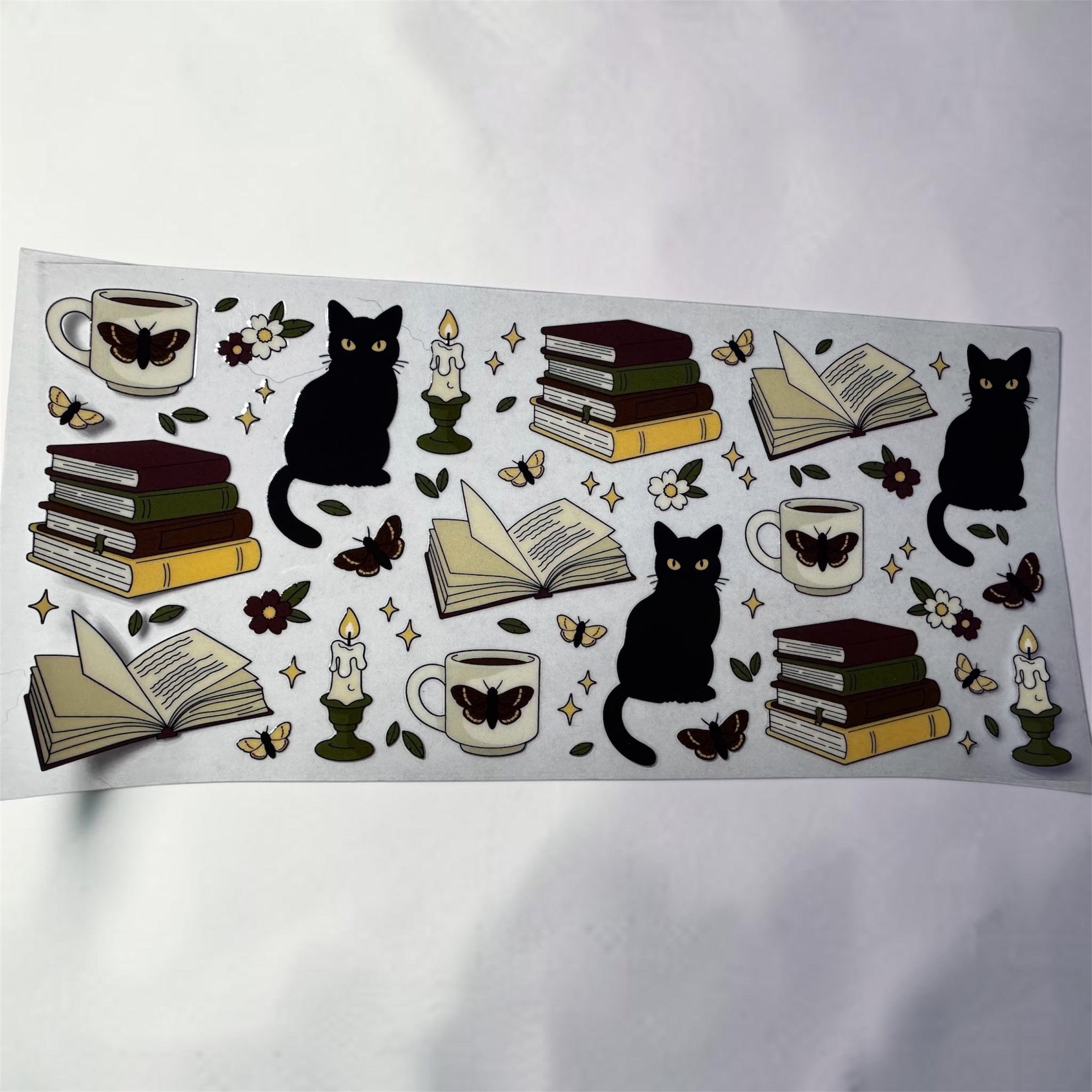 Books & Cats