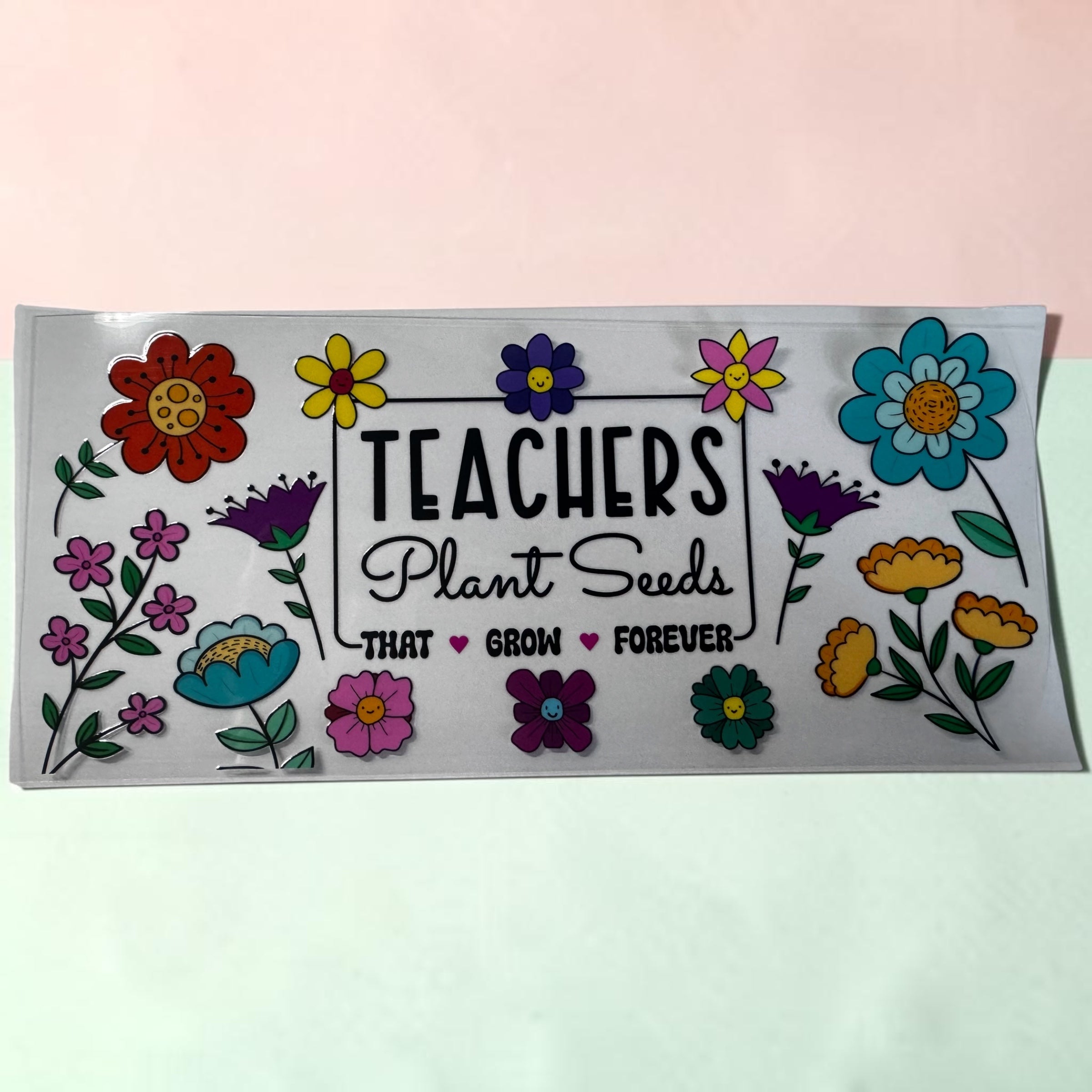 Teacher 8